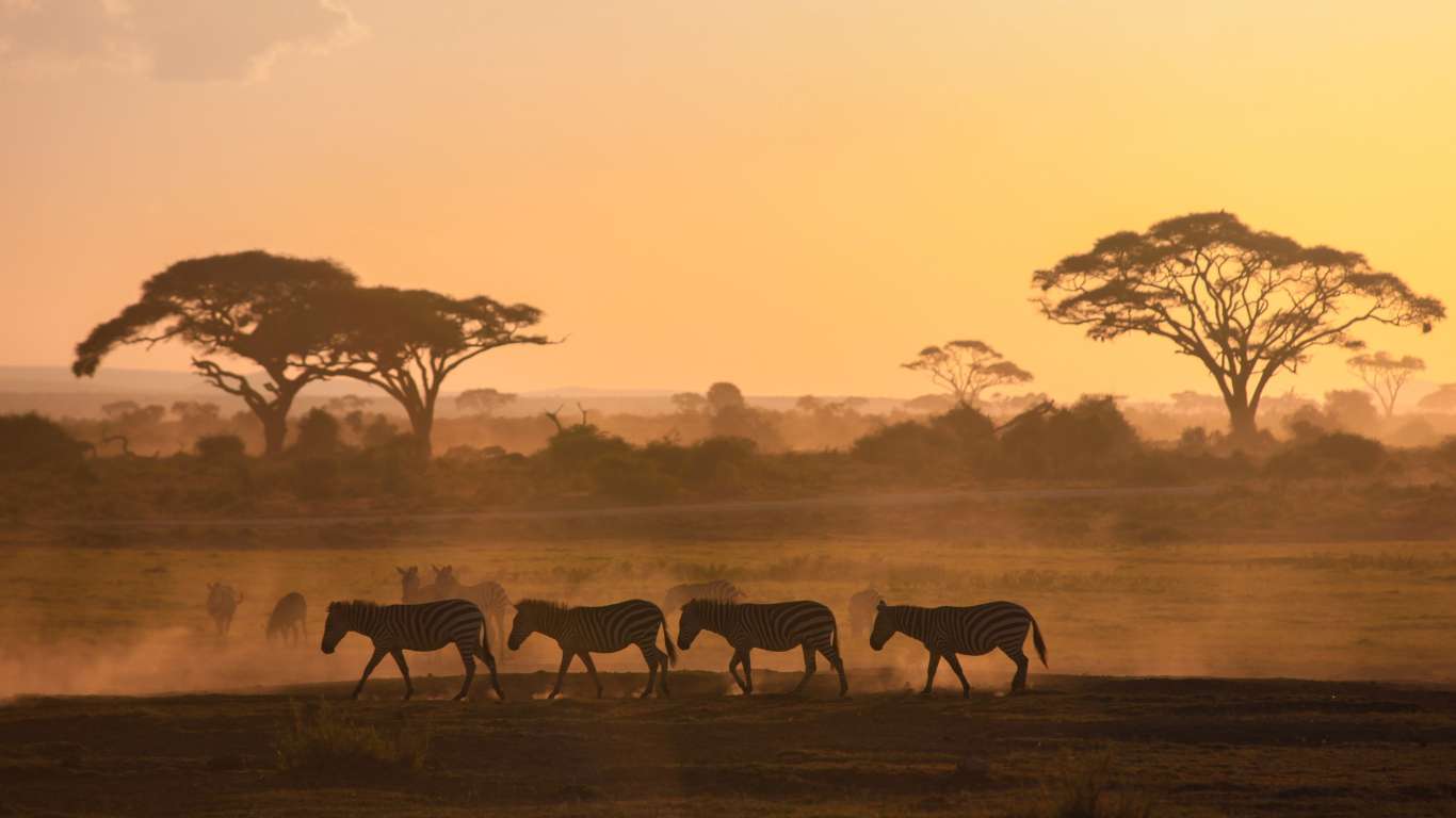 Discover the Wild: Safari Drives in Phalaborwa