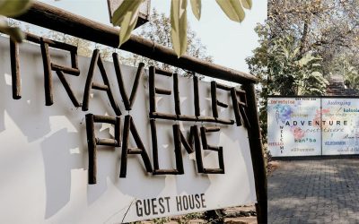 A Tranquil Retreat at the Gateway to Kruger: Discover A Traveller’s Palm Guesthouse